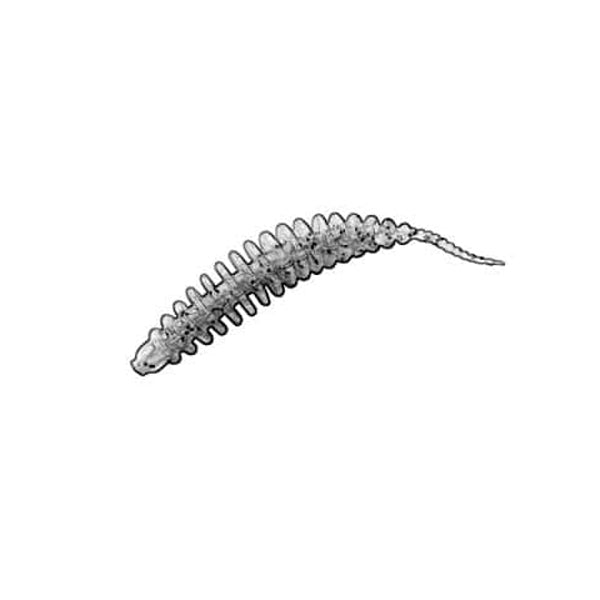 Softbaits