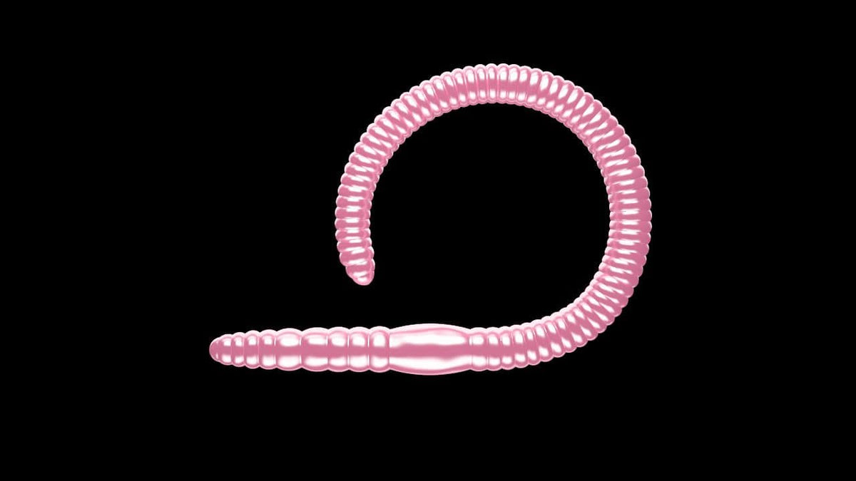 LIBRA LURES FLEX WORM 65mm Käse
